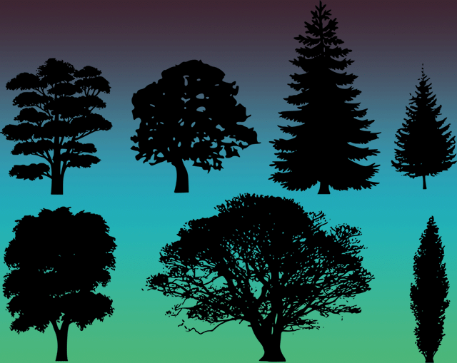 Seven different black tree silhouettes on a horizontal gradient background.