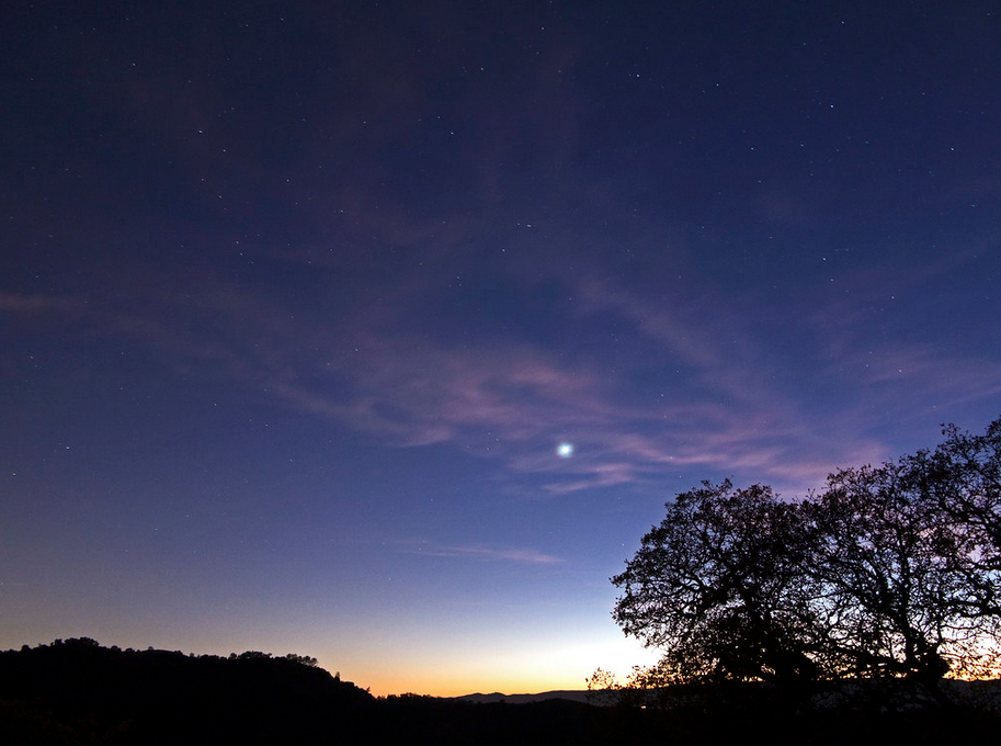 A photograph of a sky at dusk. Silhouetted trees line the foreground and stars can be seen in the still day-lit sky.